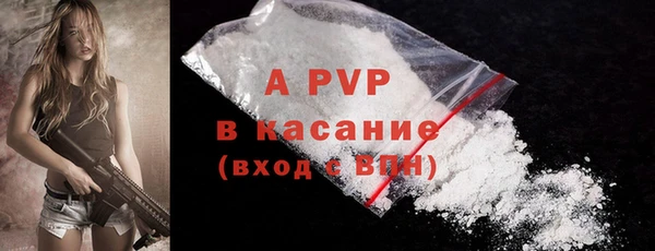 гидра Абаза