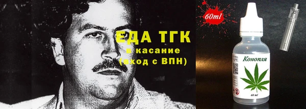 гидра Абаза