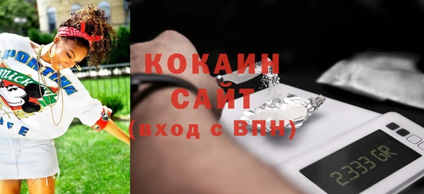 гидра Абаза