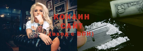 прущие грибы Абинск