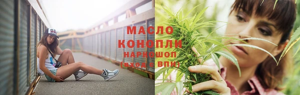 гидра Абаза