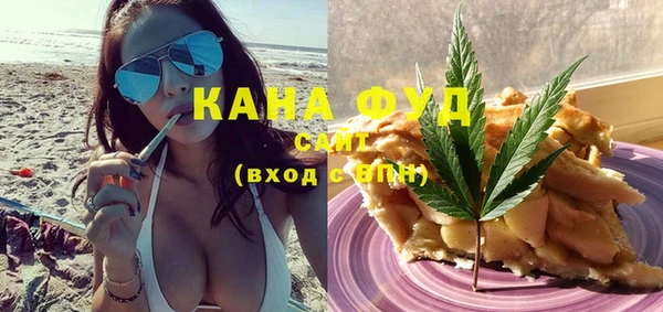 PSILOCYBIN Алзамай